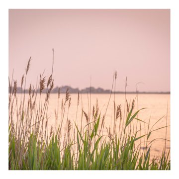 Down by the Bays. 

Now accepting pre-reservations to #MakeHistory.