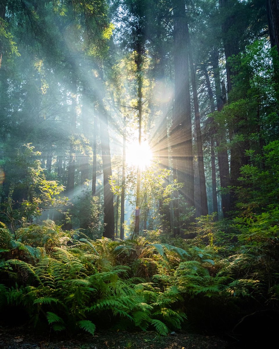 JAMESPIPERPHOTO's tweet photo. I love light rays… https://t.co/5gB3vzI3mv