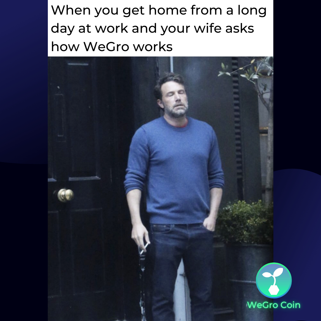 WEGROCoin's tweet photo. π± We've got you covered!
π We are here for you, and we'll answer all the questions about #WeGroCoin or #WeGroCommmunity you might get! All the most relevant and up-to-date information on the CAM industry is in your pocket.
β¬οΈ Just drop us a line β¬οΈ https://t.co/Jxt34NVxox