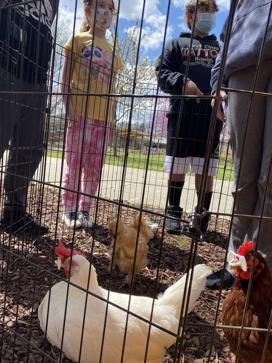 MrCahoonsClass's tweet photo. When itโs sunny, class needs to Bee outside! Big outdoor learning day at the hive. @MECME_School #mecmebuzz #edu #outdoored #getoutside https://t.co/enp2sqcUxI