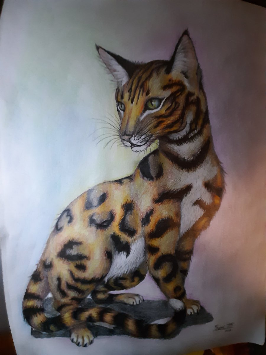 This is one of my art. Let me know what you think