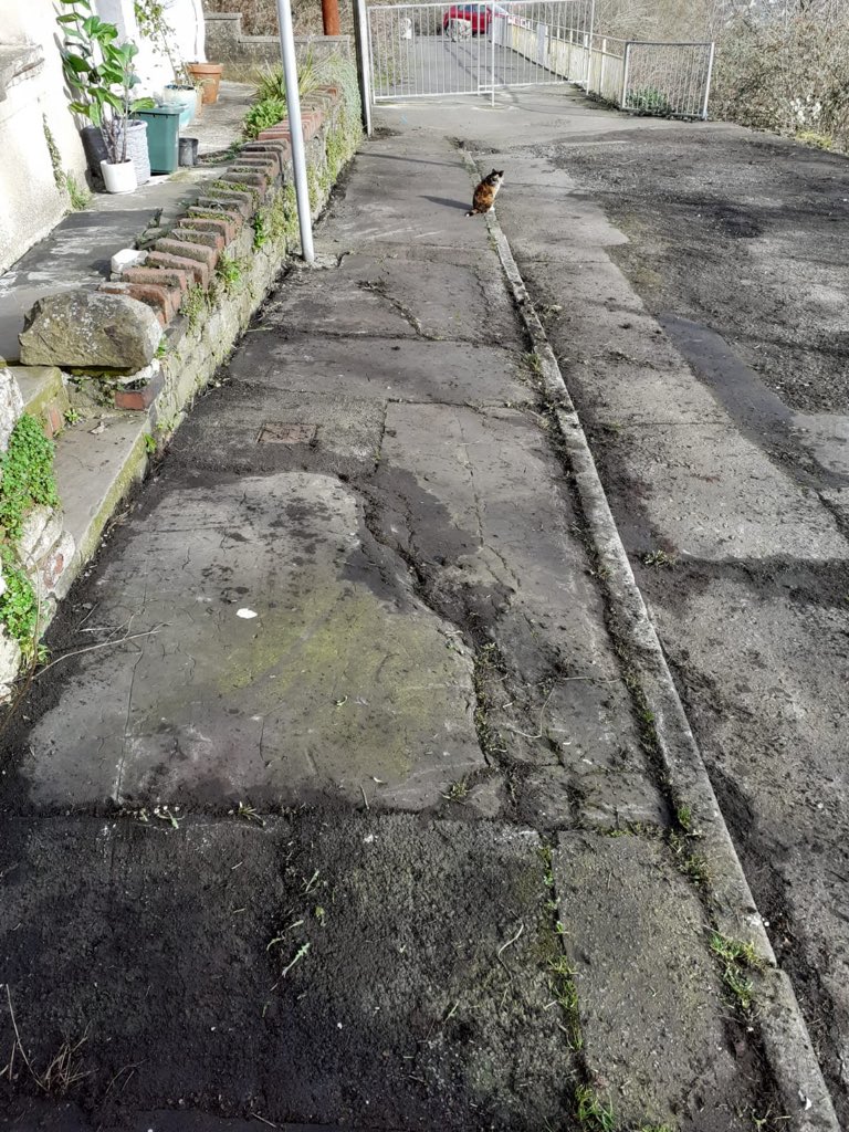 We've cleaned up another street in Morriston today <a href="/SwanseaCouncil/">Swansea Council</a> @kathyatkwt <a href="/Keep_Wales_Tidy/">Keep Wales Tidy</a> 
#SpringCleanWeek 
#SpringCleanCymru
#CommunityPaybackWorks 
#GreatPartnership 
#HelpingTheCommunity