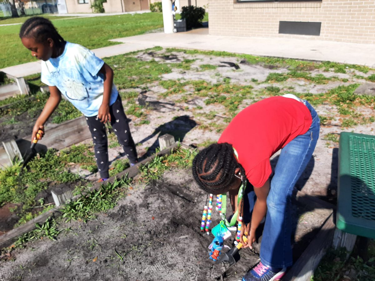 STESAfterschool's tweet photo. Gardening club started today! These students have a real green thumb! @SeminoleTrails @PrimeTimePBC @ExtLrngSDPBC @pbcsd #AfterschoolWorks #AfterschoolMatters #gardening https://t.co/8G29DBDy3m