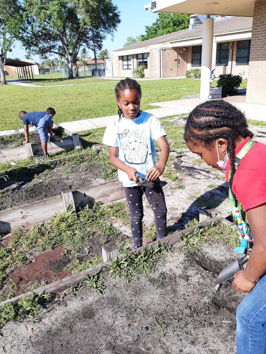 STESAfterschool's tweet photo. Gardening club started today! These students have a real green thumb! @SeminoleTrails @PrimeTimePBC @ExtLrngSDPBC @pbcsd #AfterschoolWorks #AfterschoolMatters #gardening https://t.co/8G29DBDy3m