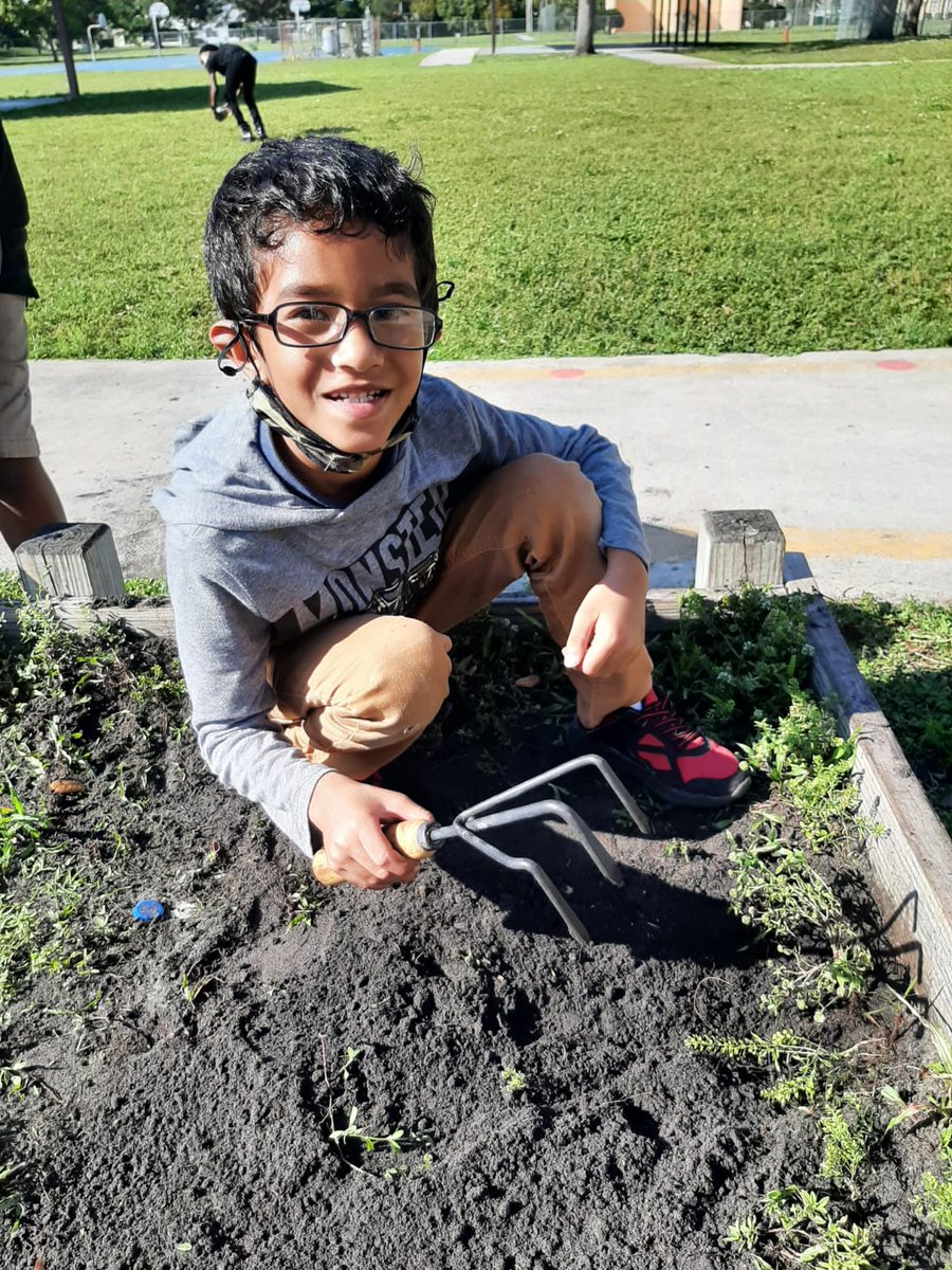 STESAfterschool's tweet photo. Gardening club started today! These students have a real green thumb! @SeminoleTrails @PrimeTimePBC @ExtLrngSDPBC @pbcsd #AfterschoolWorks #AfterschoolMatters #gardening https://t.co/8G29DBDy3m