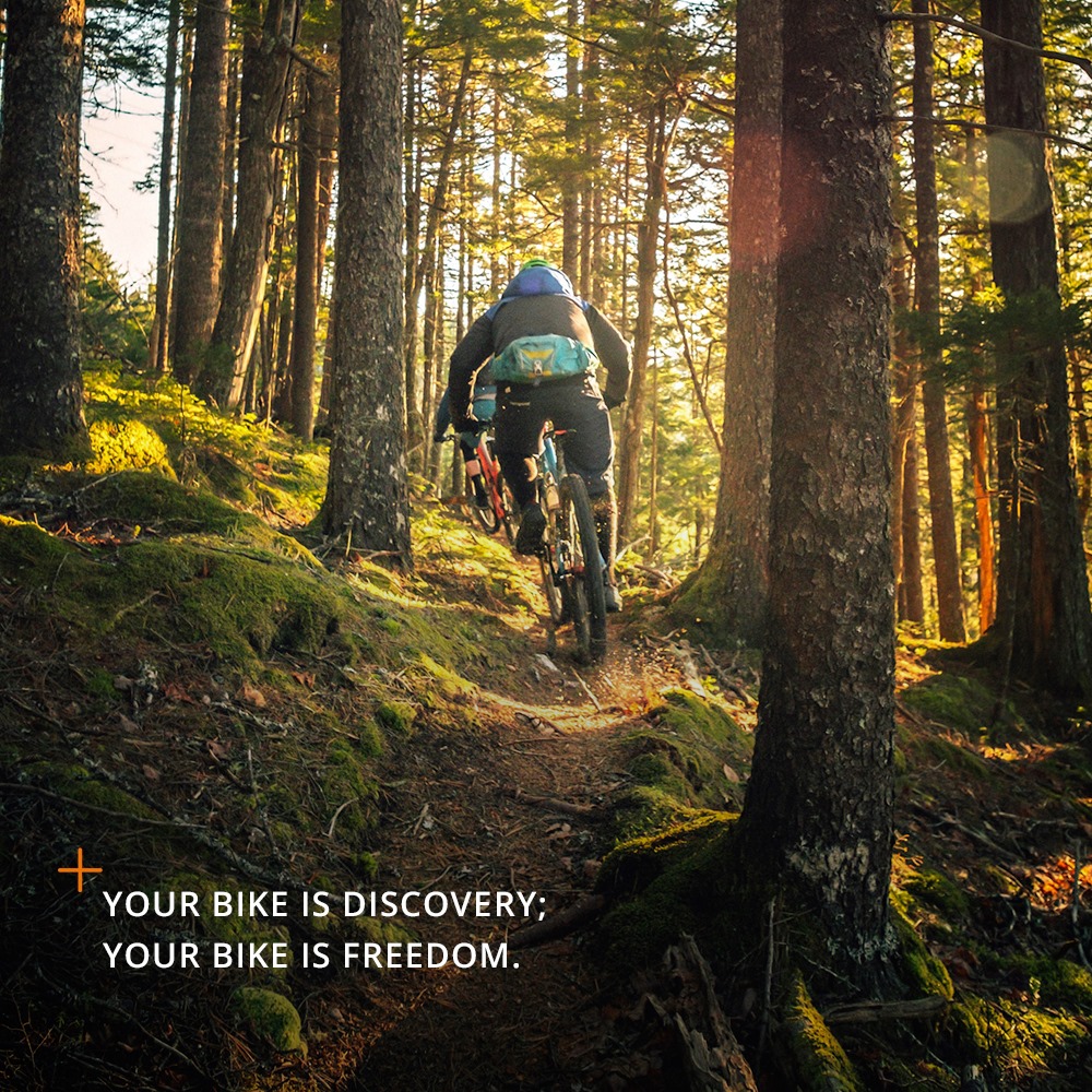 Spring is sprouting. Get out and discover.

<a href="/sks_germany/">Michael Schumacher</a> #sksgermany #madeingermany #sksfenders #rideon #sksgermany100 #nomatterwhat #bicycleaccessories #cyclingforlife