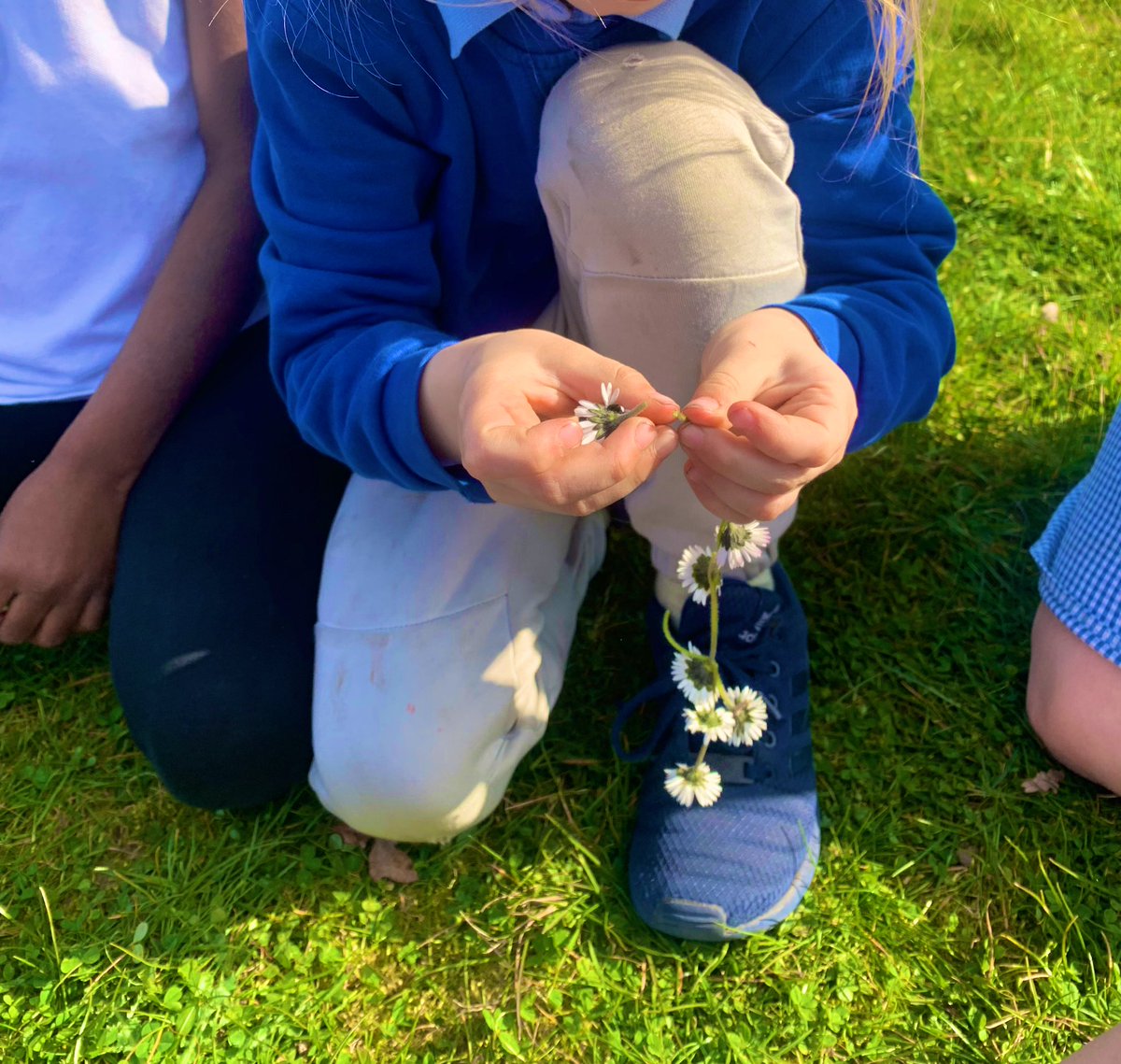 Great trip down to the woods today for the KS1 team! 🪵🌳🐞 #daisychains #ladybird <a href="/FoxHillLearning/">Fox Hill Learning</a>