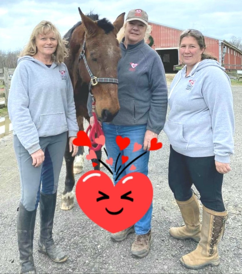 Adopted! Heart Therapy Program. Yankee Possessed.♥️