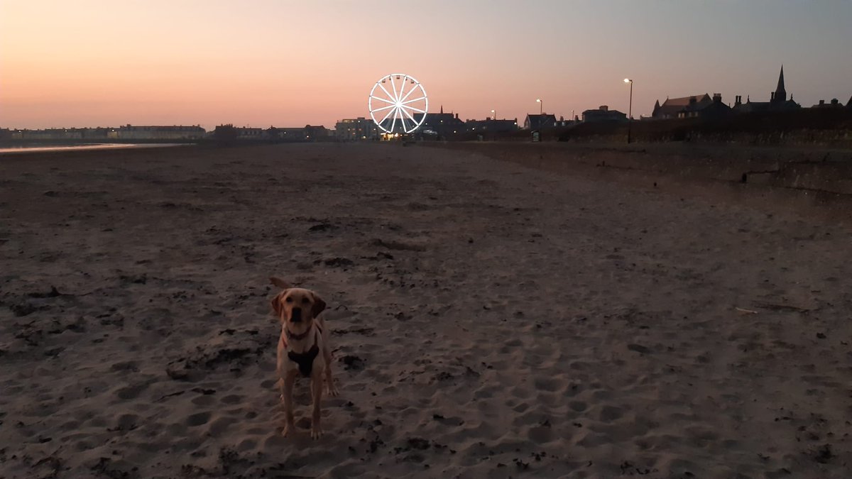 Dr Kate Haining tweet media