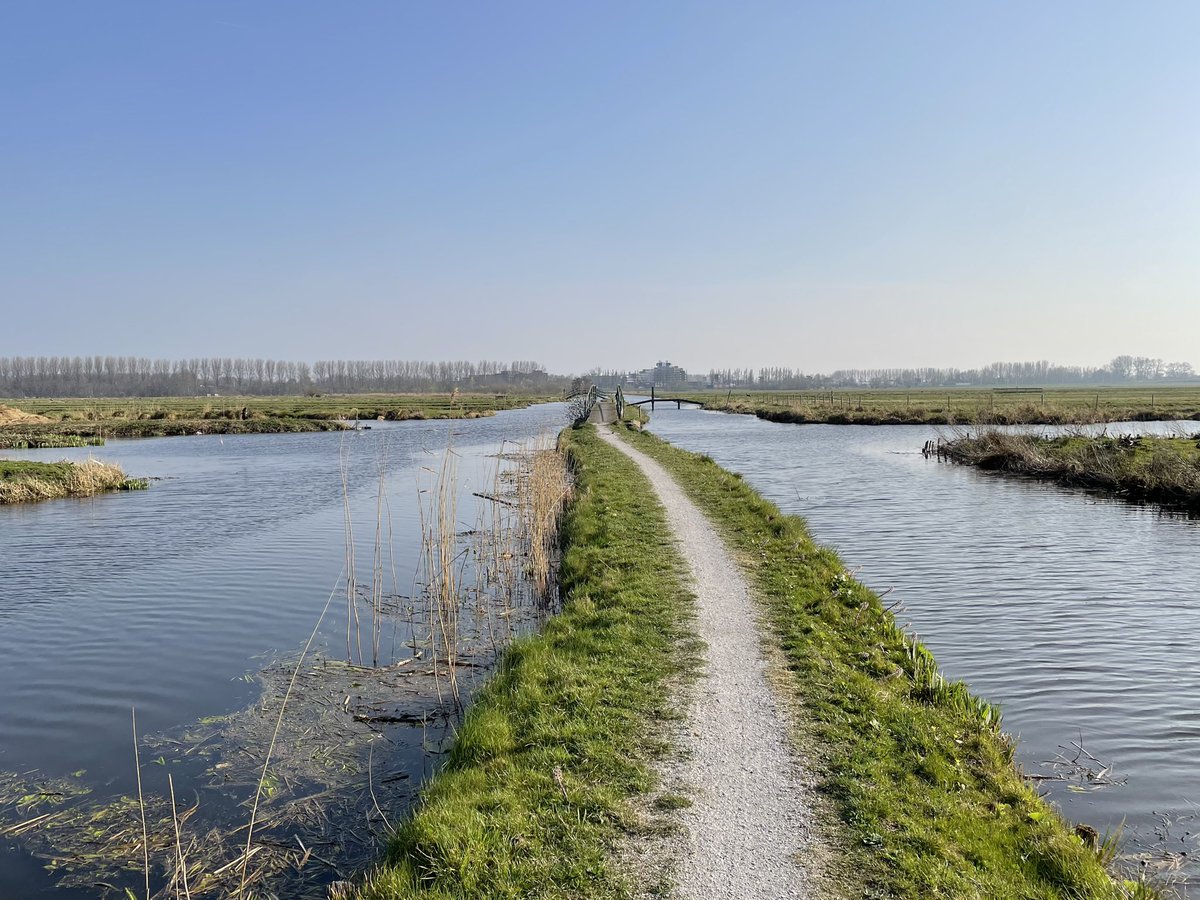 Groenehartstoc1's tweet photo. Op de terugreis naar huis over de #winterdijk #waddinxveen richting Gouda. Ook in #polderbloemendaal zijn de eerste buitelende kieviten en scholeksters te zien. Die rust en het weidse uitzicht, als je de mooie plekjes weet, dan is het #GroeneHart prachtig! https://t.co/iuccTRsFm5