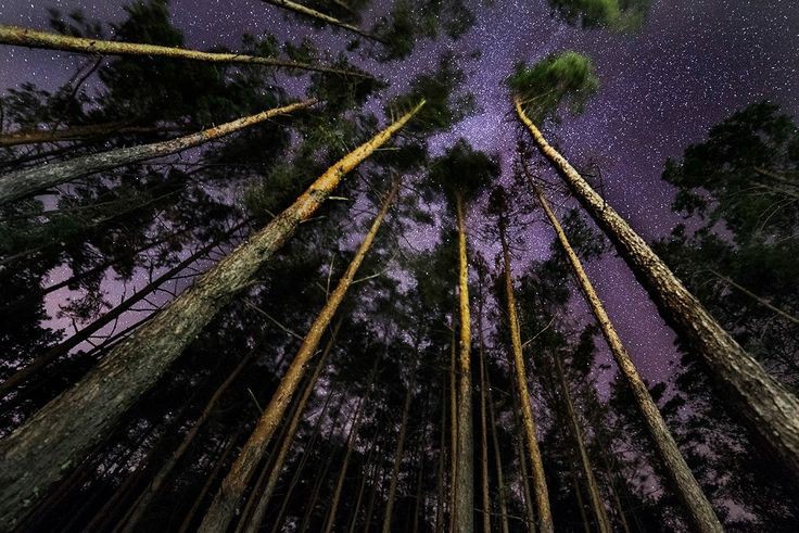 Zoriana 💙💛 tweet media