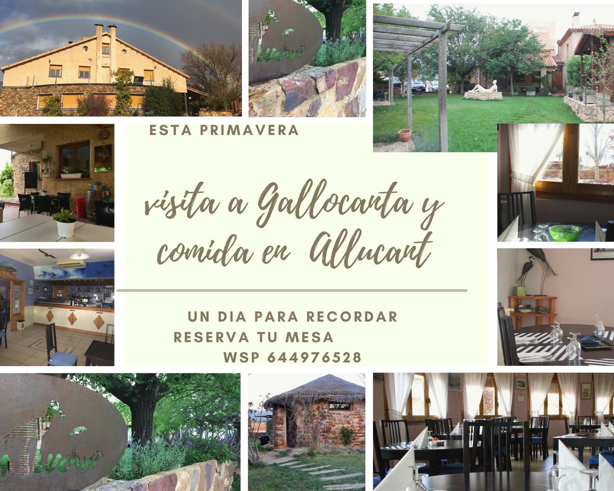 Esta primavera, visita a Gallocanta y comida en Allucant, un día para recordar. reserva tu mesa asp 650562204recuerda pasar por Gallocanta