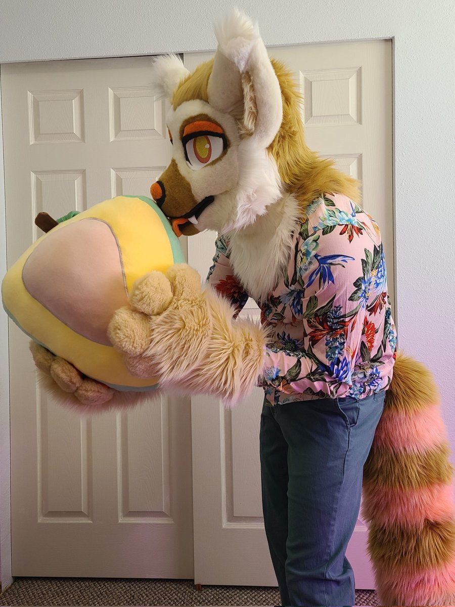 _DustFox_'s tweet image. Just a leem enjoying a mango

#FursuitFriday