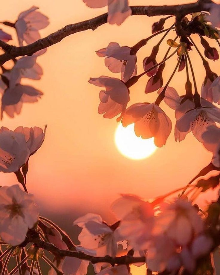 Love is Blind... Love is Sensory 💜