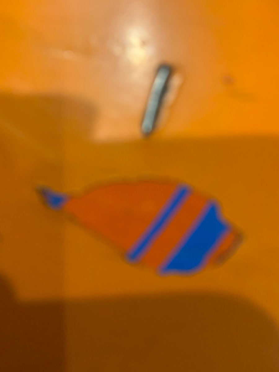 hellomushband's tweet photo. By accident or by design? Found on a beer table. #themusicindustry #finding nemo https://t.co/2ygUIplaxn
