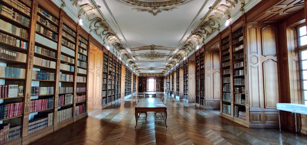 L'UE Patrimoine de la formation dcb <a href="/enssib/">Enssib</a> sur les fonds de la bibliothèque bénédictine de Saint-Mihiel <a href="/BMihiel/">Bibliothèque de Saint-Mihiel</a> touche à sa fin.

Ce chantier-école nous a permis d'acquérir de précieuses compétences théoriques et pratiques sur la conservation et la valorisation des collections.