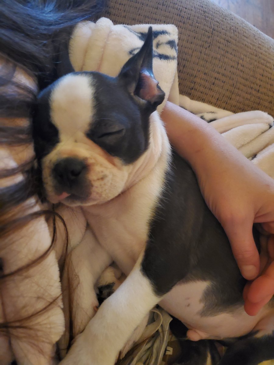 Leona Lioness tweet media