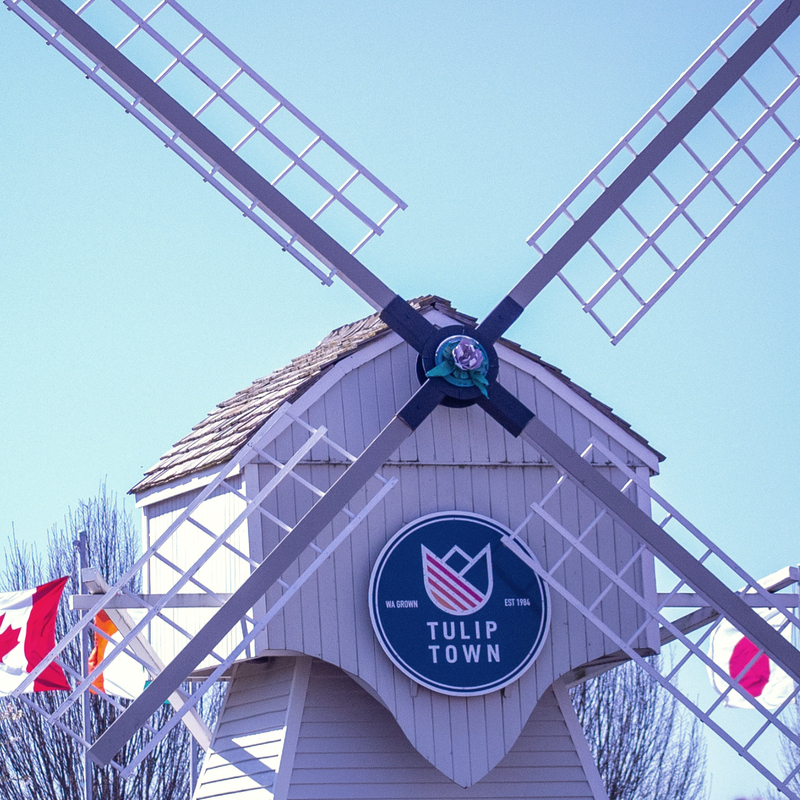 CreativeM45's tweet photo. Spring is finally here. If you're going to be in Western Washington, don't forget to save a day next month for a relaxing walk in the flowers - Tulip Town starts in less than a week!🌷☺️🌷

#skagitvalley #whatcomcounty #snohomish #bellingham https://t.co/a7PjJGDpbI