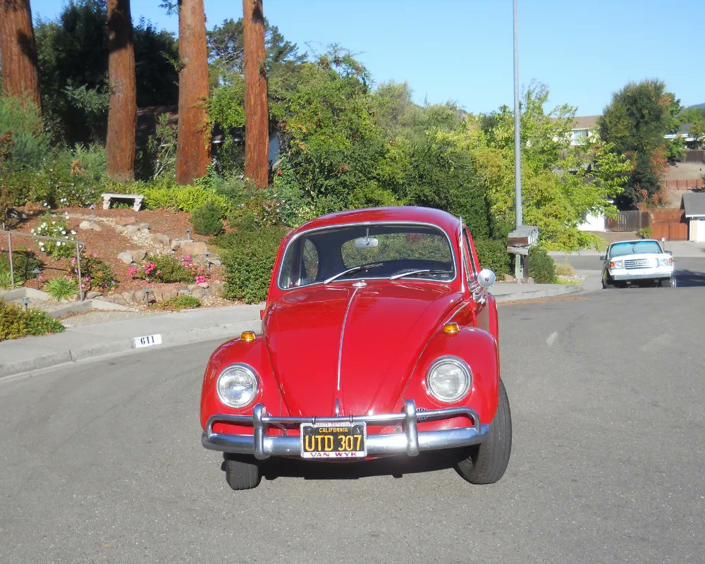 JBugsVWParts's tweet photo. Folks it's another #FrontEndFriday! 🎉
We're just as happy to be here as you are
You all have a fantastic weekend, VW fans! Drive safe now 😉
We'll let William's #67Beetle "Ruby" handle it from here, what a gem!
📷 - William P. https://t.co/I4RIhOoX0G