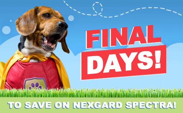 PetGuardiansAus's tweet photo. Final days for this special offer! Don't miss out - https://t.co/DWiZ2LGU7U https://t.co/Jy62sknr7S