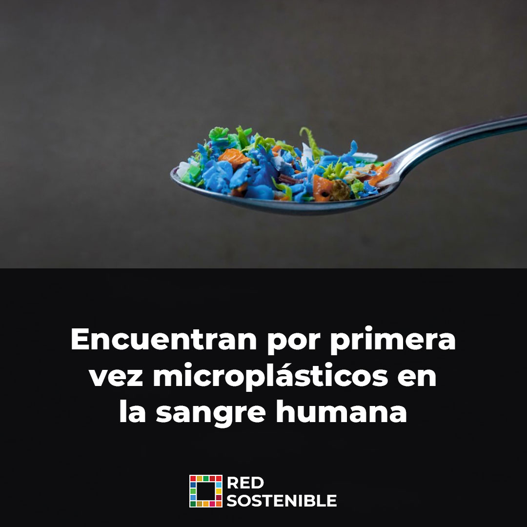 redsostenibleok's tweet photo. ⚠️ Los microplásticos son pequeñas piezas de plástico de menos de 0,2 pulgadas (5 mm) de diámetro, que suelen producirse como desprendimiento o residuo de materiales que se desechan sin el correcto tratamiento. 

👉 https://t.co/nPaHh0tiRf
🌎 #ODS3 https://t.co/X1cF4zhO9j