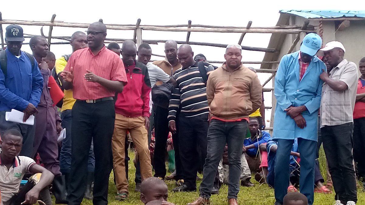 BuhumuzaProvinc's tweet photo. #Burundi Ce vendredi 25/3/2022,le Conseiller du Gouverneur de la @MuyingaProvince chargé du Développement a procédé à la distribution de 160 porcins aux bénéficiaires des 5 collines de #Mizuga,#Kiringanire,#Bwica
#Ruganirwa et #Nyamirambo de la zone #Cumba  en commune #Muyinga. https://t.co/hqTiZXLDzj