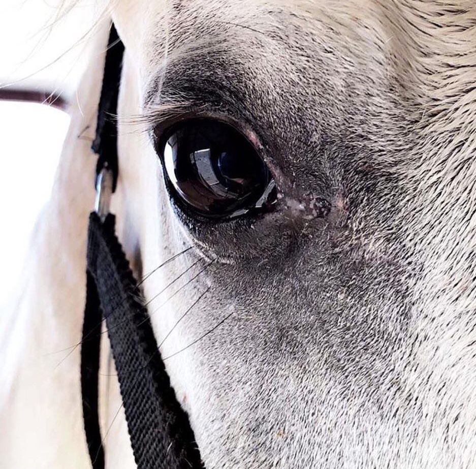 اللي يحبك يكره . . . التغيير
لو ان حبل الوصل متراخي

كل ما وصفتك اشعر بتقصير
مافييه كلمه توصفك ياخي 🔕