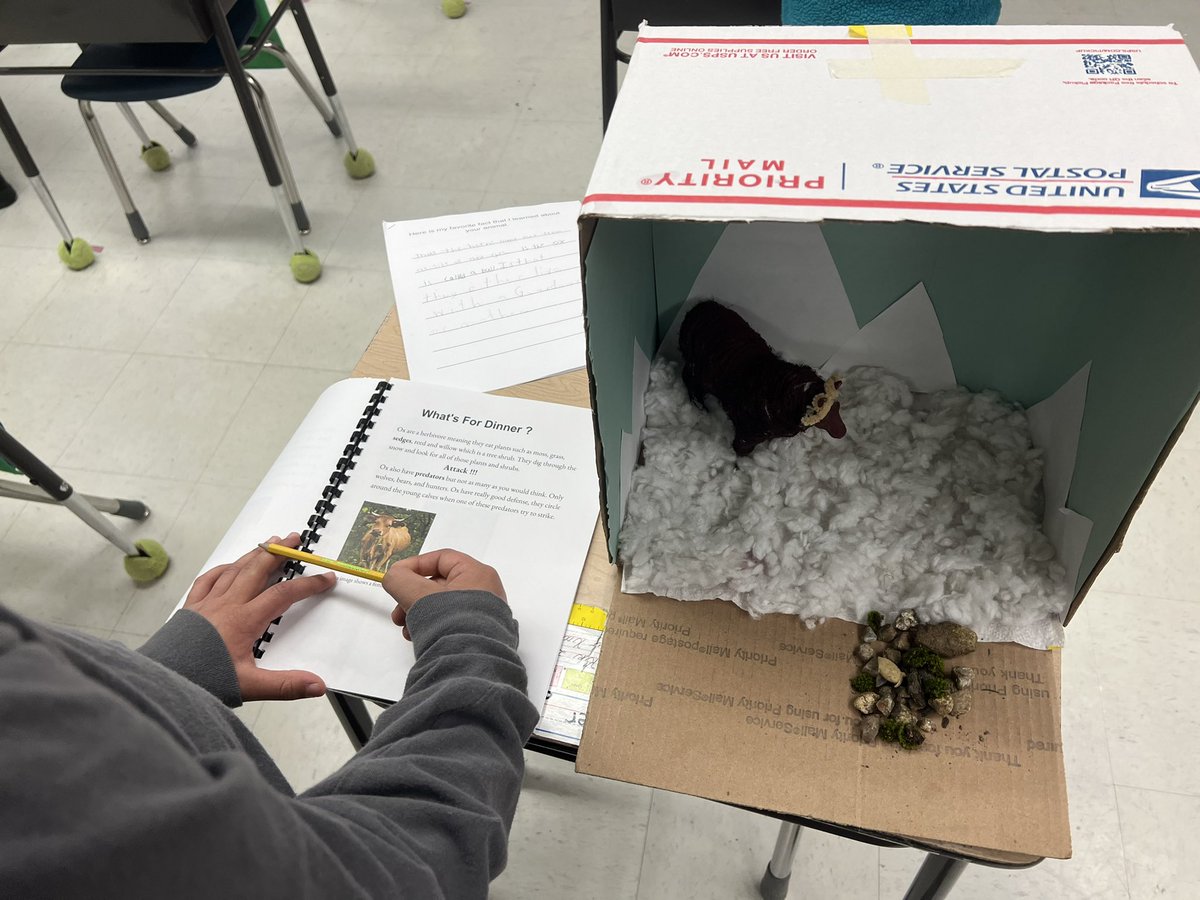 StadleyRough's tweet photo. Mr. Cerlich and Mrs. Calabrese loved visiting Ms. Ireland's 3rd graders for their author share! Ss were busy in their gallery walk reading about animals and jotting down a favorite fact learned! 🤓👏🏼 #STRreaders https://t.co/q0QQBNa9SR