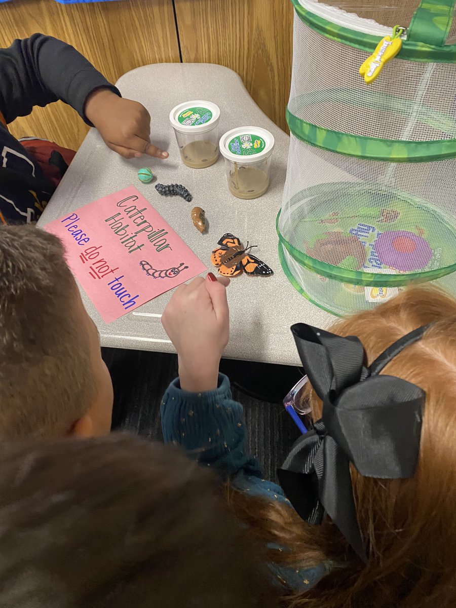 Eva Perales tweet media