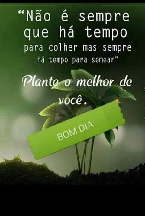 clebiosantosdas's tweet photo. Boa noite Deus abençoe. https://t.co/ilB7gXZi2d