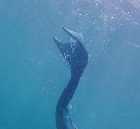 ❱ ❱ ❱ 𝗘𝗡 𝗦𝗛𝗔𝗗𝗘𝗦 𝗕𝗨𝗦𝗖𝗔𝗠𝗢𝗦 𝗔: 

⠀⠀⠀⠀⠀⠀⠀⠀⠀ ╭ Raf Altolaguirre
⠀⠀⠀⠀⠀⠀⠀⠀⠀ ╭ Médena

› 359
› Nació en Málaga, España
› Lleva más de 150 años en Antea
› Miembro del EPA: Equipo de Protección de Antea
› FC: Brays Efe