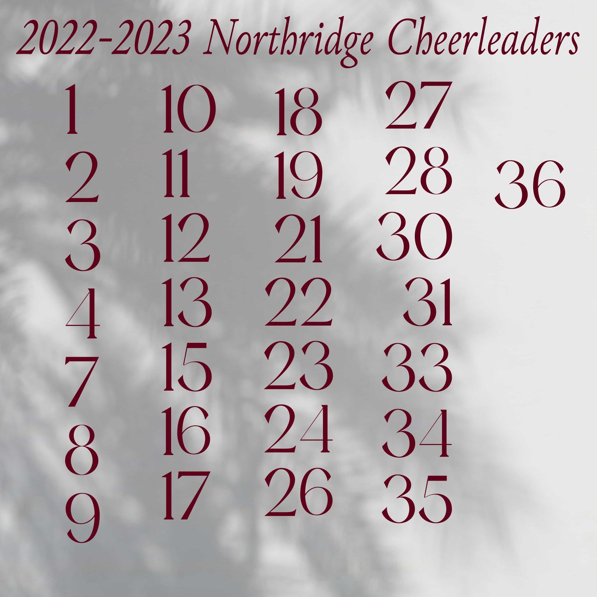 Congratulations to the 2022-2023 cheerleaders!
