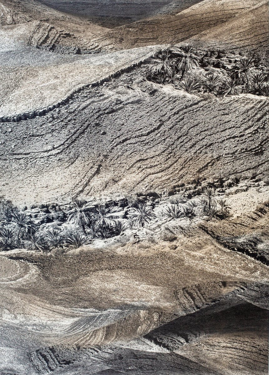 Exhibition // Renegotiating the Landscape
by Silvi Glattauer⁠
26 March⁠ - 7 May
⁠
Renegotiating the Landscape by Silvi Glattauer opens today! 

Silvi will be in the Megalo gallery today between 3-5pm  to open her exhibition Renegotiating the Landscape. 
megalo.org/renegotiating-…