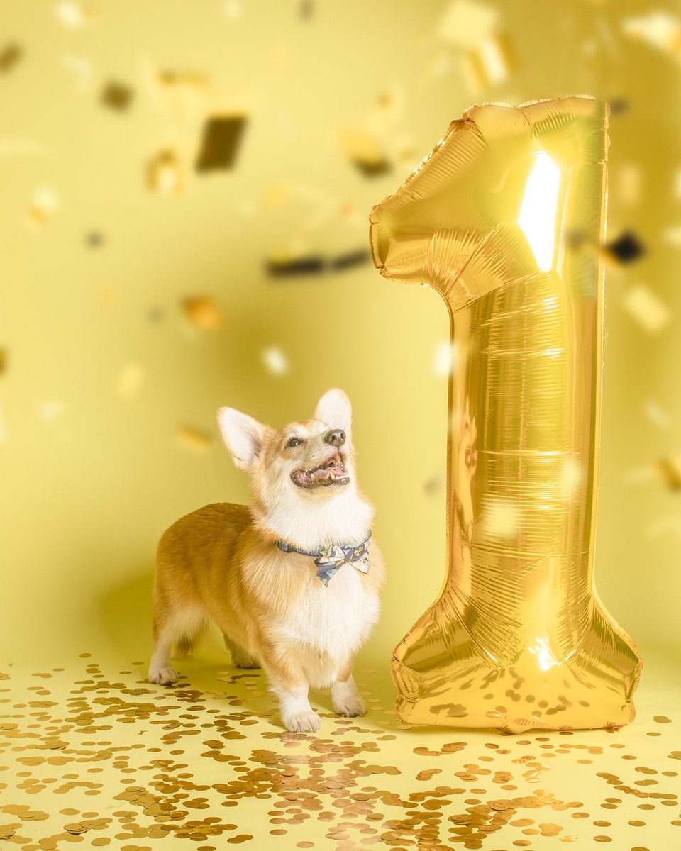 Birthday photos for Basil 😍