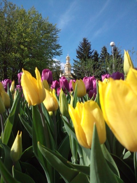 Tweets With Replies By Porcs Epics ポルケピック Porcsepics Twitter Tweets With Replies By Porcs Epics ポルケピック Porcsepics Twitter