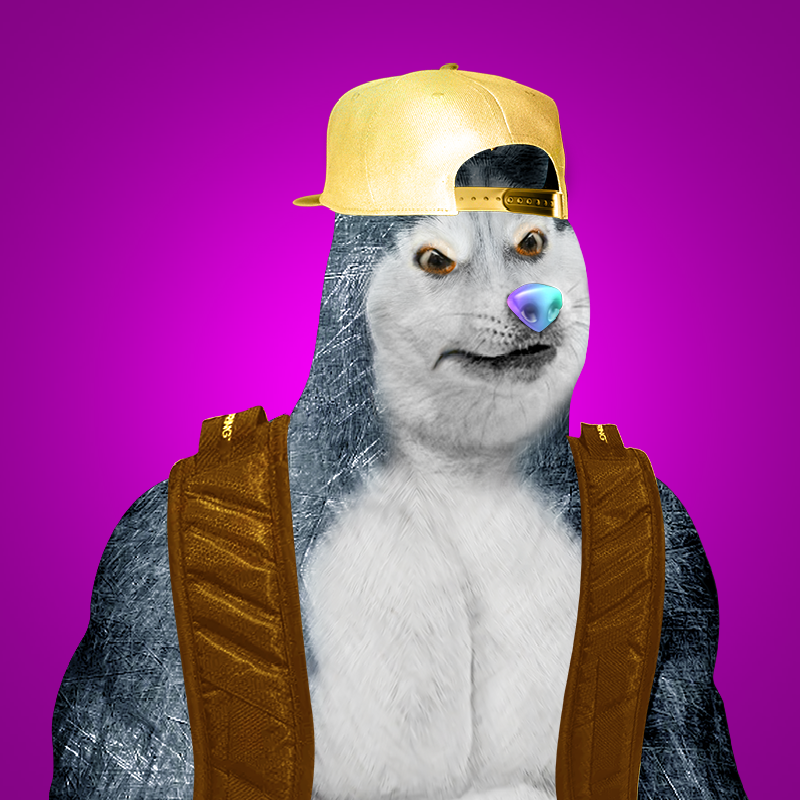 DogeVIPClub's tweet image. We're a Community of Doge School Day. 
Visit our collection on @rarible 
rarible.com/dogevipclub

#nftcommunity #DogeVIPClub #NFTCollection #NFTs #NFTGame #NFTartwork #art #raribleNFTs #DVC 
@DogeVIPClub