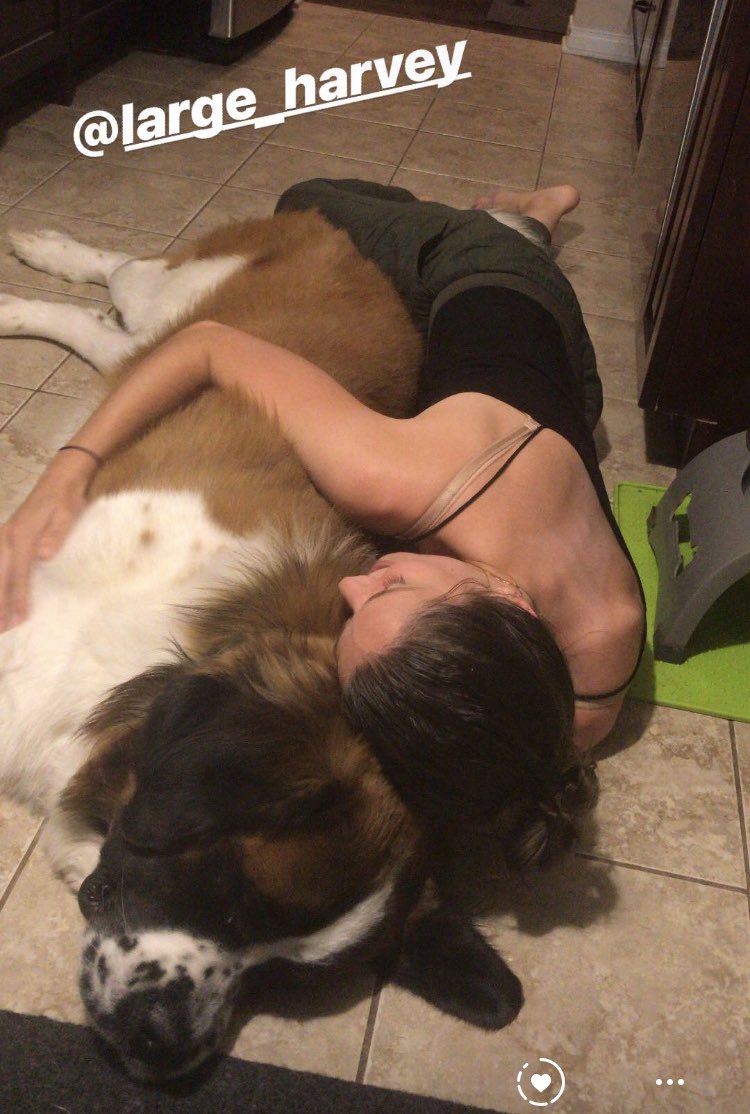 Jamie Sinclair tweet media