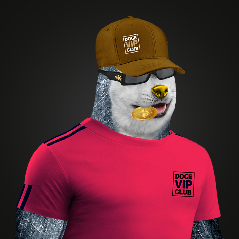 DogeVIPClub's tweet image. We're a Community of Doge School Inventor. 
Visit our collection on @rarible 
rarible.com/dogevipclub

#nftcommunity #DogeVIPClub #NFTCollection #NFTs #NFTGame #NFTartwork #art #raribleNFTs #DVC 
@DogeVIPClub