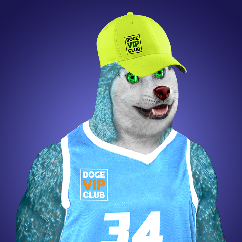 DogeVIPClub's tweet image. We're a Community of Doge Gym. 
Visit our collection on @rarible 
rarible.com/dogevipclub

#nftcommunity #DogeVIPClub #NFTCollection #NFTs #NFTGame #NFTartwork #art #raribleNFTs #DVC 
@DogeVIPClub