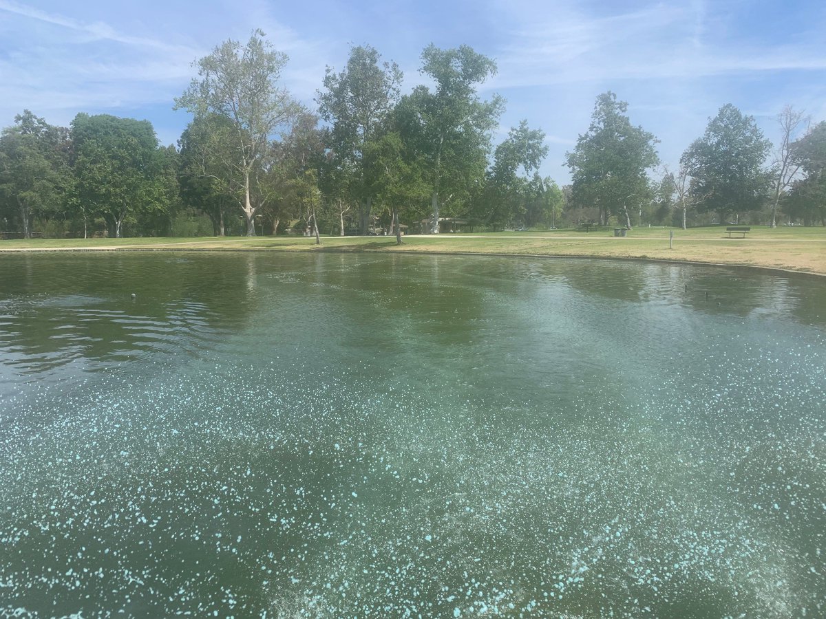 aquatechnex's tweet photo. EutroSORB WC captures phosphorus in the water column, new technology and first time in the water for us, looks like it works well. https://t.co/sgxn8Td1dn