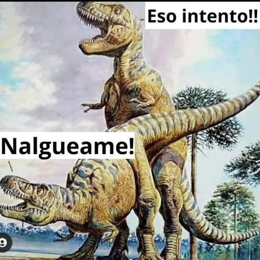 capibabar's tweet photo. jajajajajaajaj AY NO https://t.co/RP18hj33HQ