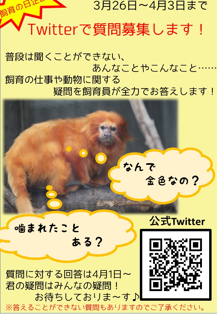 Hiromi Hamamatsuzoo いつもありがとうございます 質問です 地震とかの災害時 動物たちは 早朝 日中 深夜vr 老衰 病気等亡くなった動物はどんな経由でどうなるのか 信頼関係がすごく重要な 動物も含め 飼育員さんの