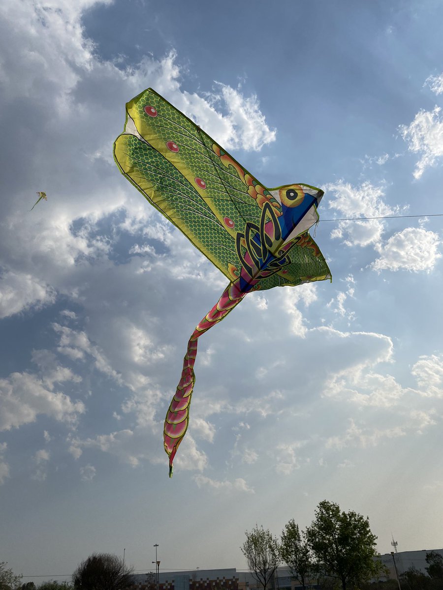 Adolfo_Cerqueda's tweet image. Mi gente, ¿ya están listos para el Gran Festival de #Papalotes 2022 🪁 del próximo domingo? 

Recuerden que es un evento completamente familiar, aquí les dejo el link de toda la información 👉🏻 bit.ly/3qBHFN4

¡¡Ayúdenme a compartirlo!!