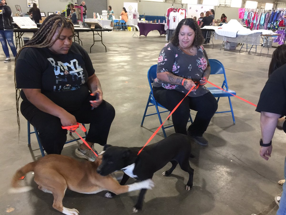PBSTEMLeader's tweet photo. Come join us @UTPBSTEMAcademy Peace, Love, & STEM festival. Visit the Kiss a Puppy booth to celebrate #freeadoption week. #Odessa #animalshelter https://t.co/YHzotQnKds