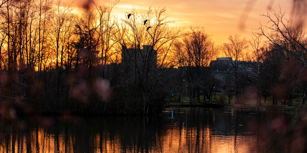 FollowMeToVT's tweet photo. Duckpond views π
#FollowMeToVT #VirginiaTech #WhyVT https://t.co/k3TkyoWsTy