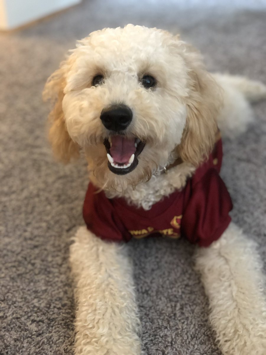 Christineg_96's tweet photo. Kobe says Let’s go @CycloneMBB and @CycloneWBB !! 💛❤️🏀 @DougESPN https://t.co/IC9AML7w7R