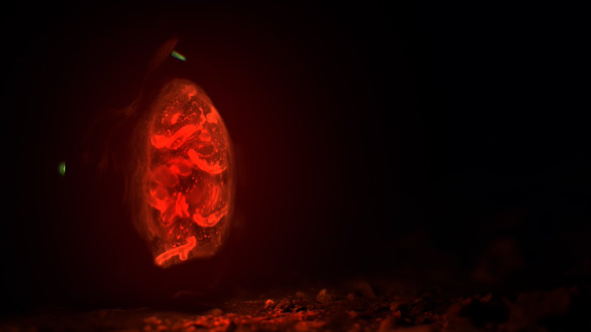 𝐅𝐚𝐮𝐧𝐮𝐬 𝐑𝐞𝐥𝐢𝐪𝐮𝐢𝐚𝐞: 25 NFTs that will give benefits:

🎟 WL to 𝐅𝐚𝐮𝐧𝐮𝐬 𝐂𝐚𝐬𝐭𝐫𝐮𝐦.
🎟VIP benefits on our Castle Restaurant.
🎟 Future vêtements gift from our clothing brand. 
🎟 Enter the Raffle

Drop: 𝟑𝟎𝐭𝐡 𝐌𝐚𝐫𝐜𝐡 🎟️
Price: 𝟎.𝟎𝟐𝟓 𝐄𝐓𝐇 #opensea