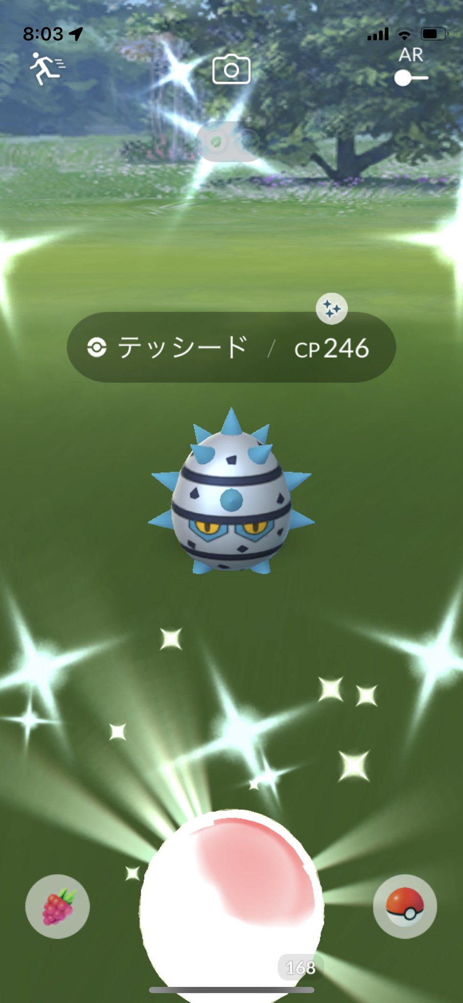 テッシード色違い Twitter Search Twitter