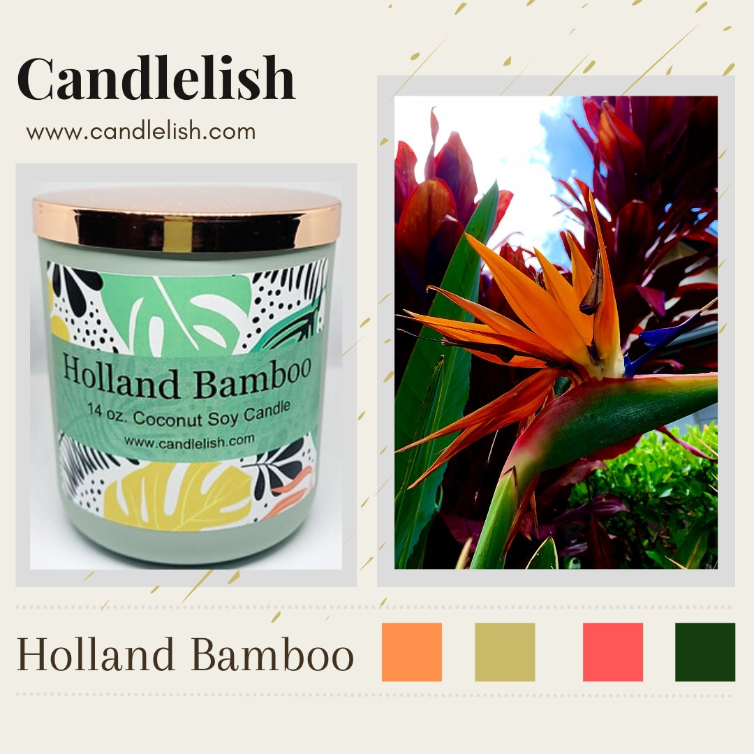 Holland Bamboo Scented Coconut Soy Candle is dreamy, idyllic, and opens with top notes of lemon and ginger before giving way to birds of paradise, jasmine, and honeysuckle. candlelish.com
#soycandles #candles #cocoapricot #coconutwaxcandles #cocosoy #beeswaxcandle