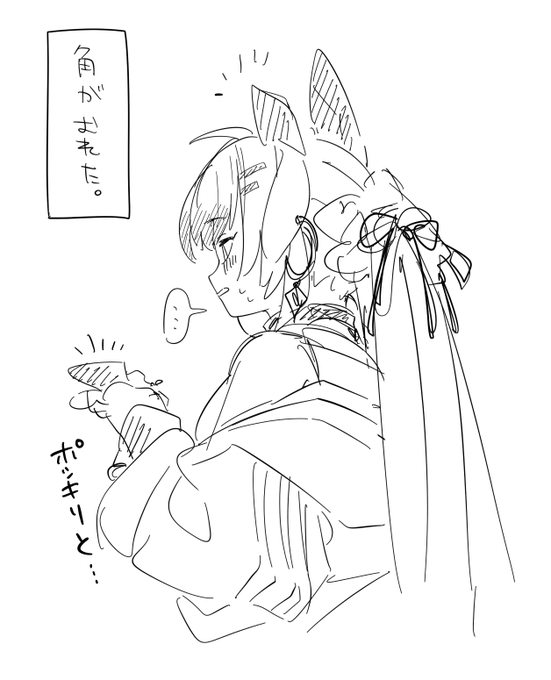 角、よく折れるらしい 